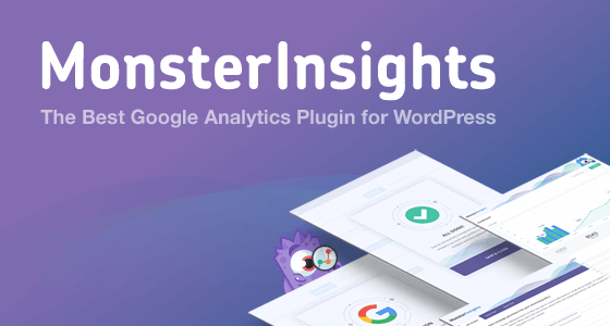review MonsterInsights plugin