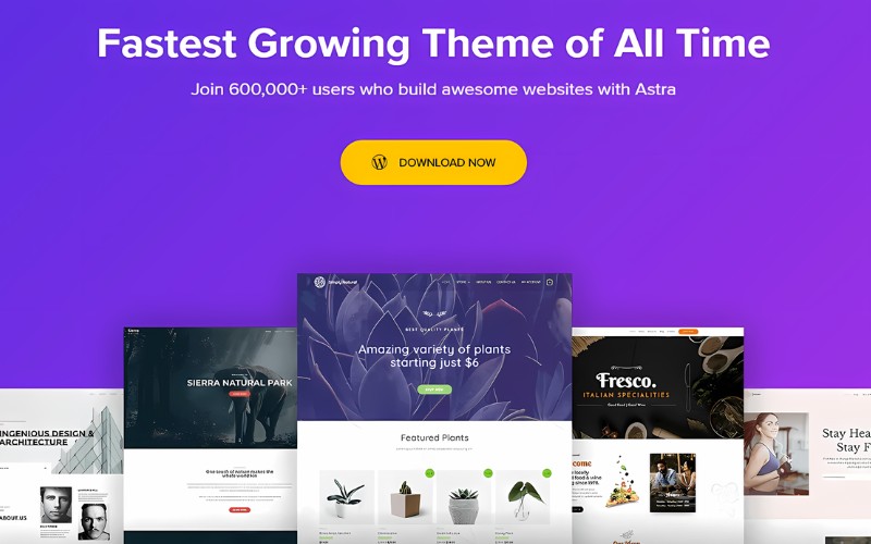 Giới thiệu theme Astra Pro